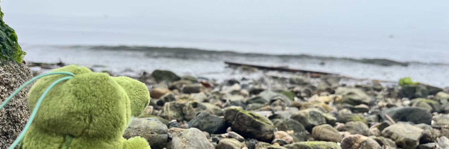 foxtokaiwalker's profile banner image
