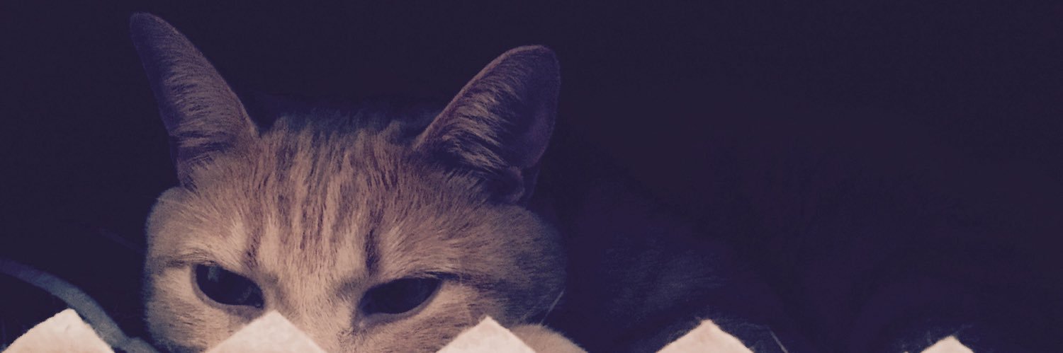 thisisahotjam's profile banner image