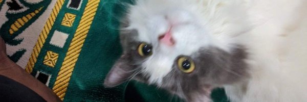 fathihilmi_ Profile Banner