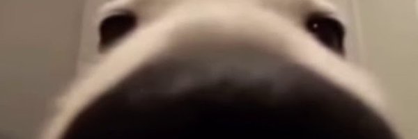 uhhdzii Profile Banner