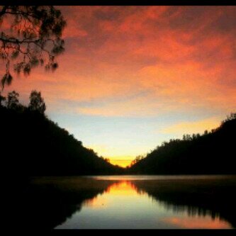 susisisusi's profile banner image