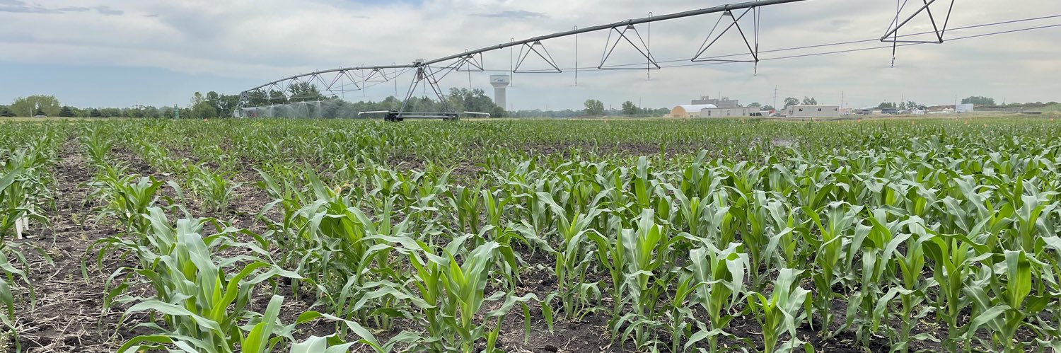 Sarah N. Anderson banner