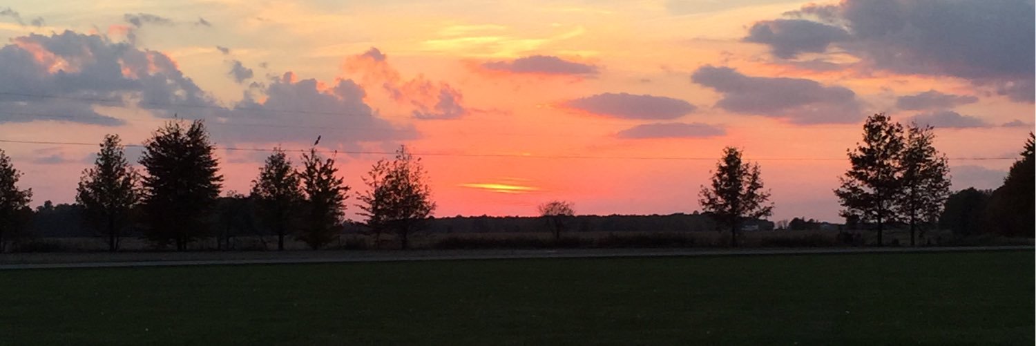 Rachel Sullivan banner