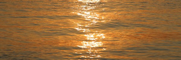 NliGjvJbycSeD6t Profile Banner