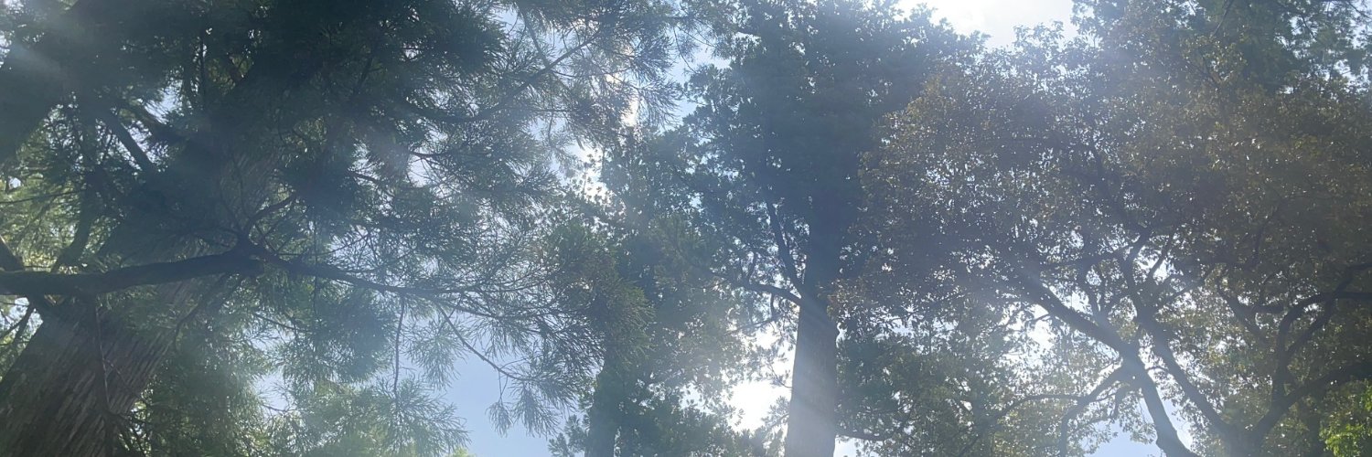 yuriask's profile banner image