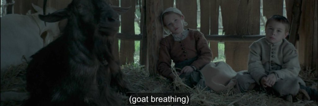 liz bowen 𓆑 banner