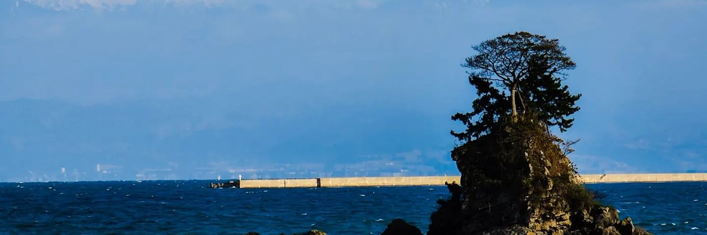 t_m303a's profile banner image