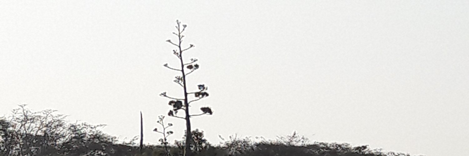 Eleazar Hernández banner