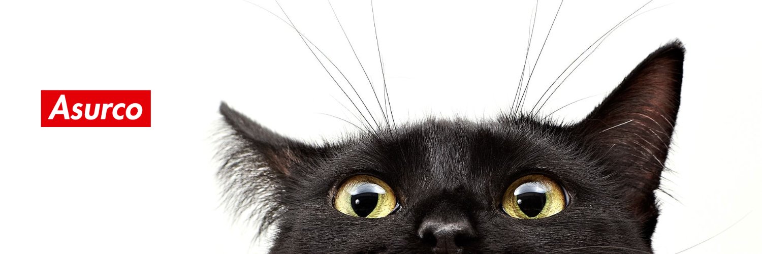 asurso_'s profile banner image
