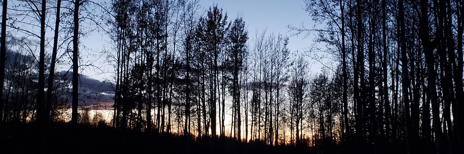 Paula Lavigne banner