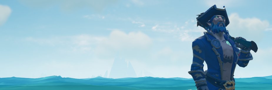 Scervo banner