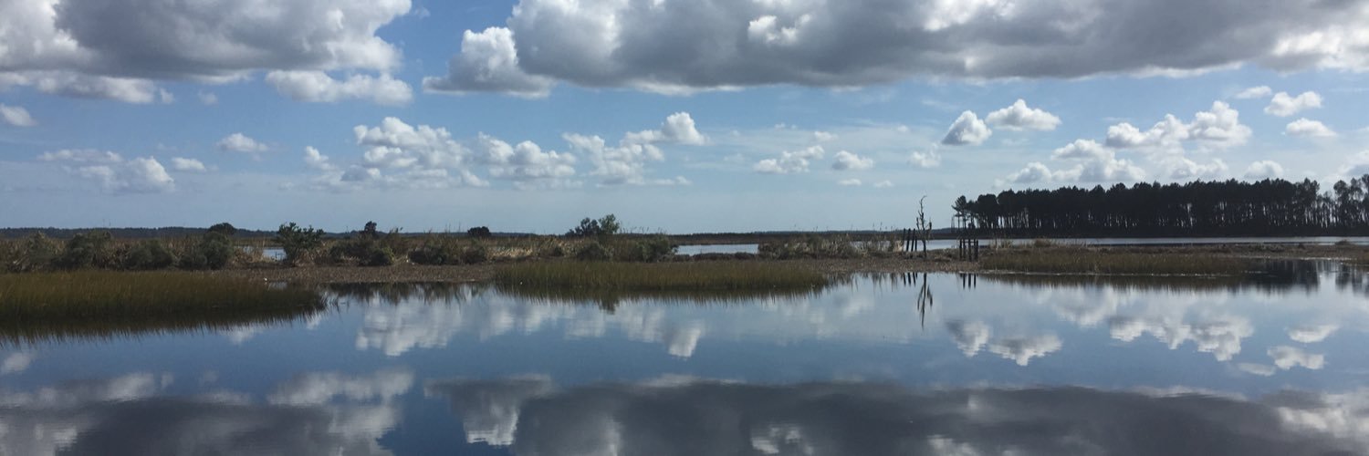 Kelly Campbell banner