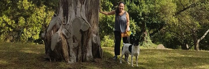 vicky_wainstein's profile banner image