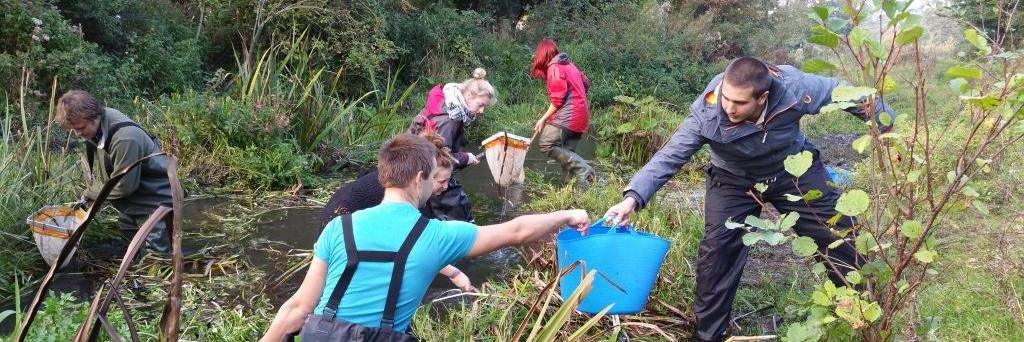 Glaven Conservation banner