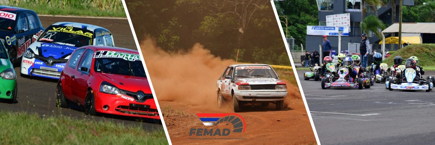 FeMAD banner