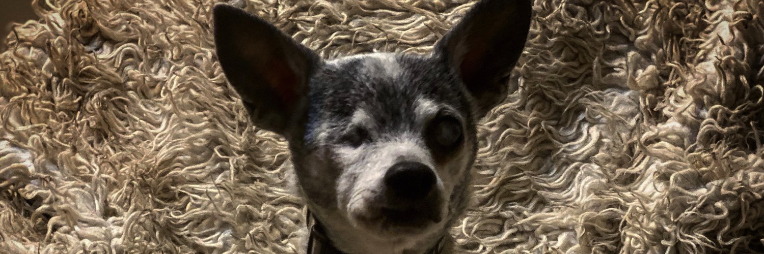 DrStevenLandry's profile banner image