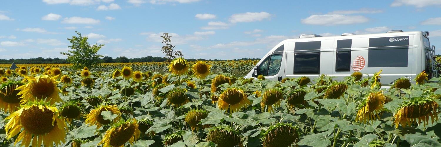 The Van Company (@TheVanCompany) / Posts / X