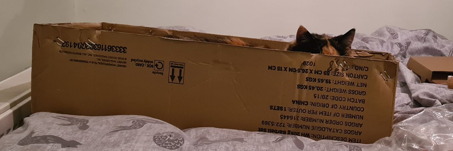 Fluffy Willow 🌈 banner