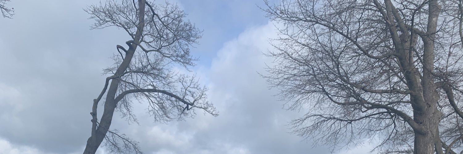 LauAnana_'s profile banner image