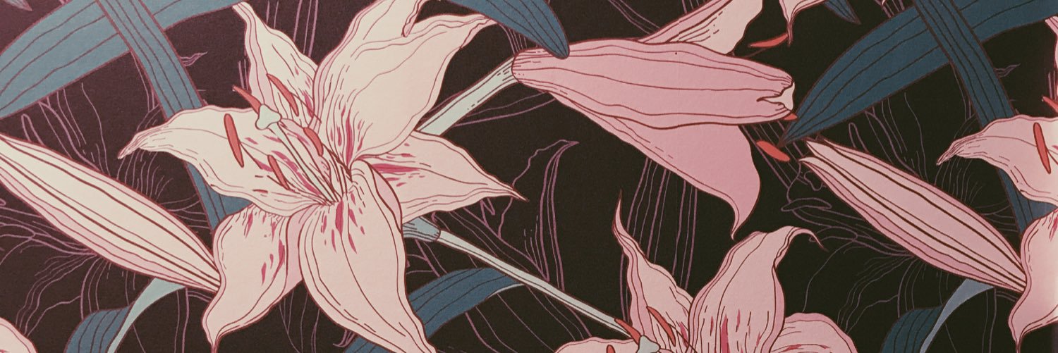 vasca_ehul's profile banner image