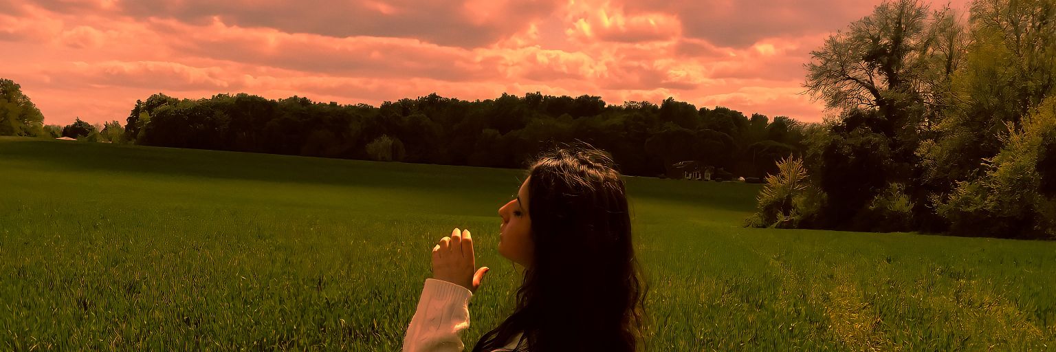 𝔹𝕠𝕦𝕣𝕘𝕖𝕠𝕟✨🌻 banner