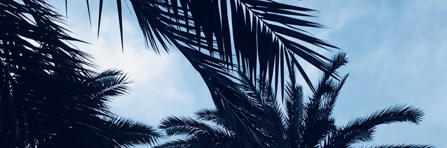 inesuca29's profile banner image