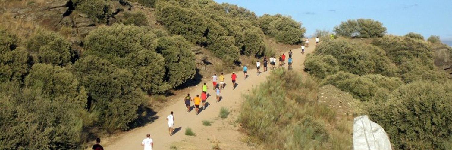 ACDVC - Bernardos banner