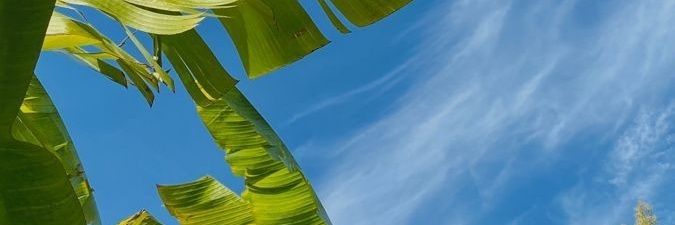 antojuarezcest's profile banner image