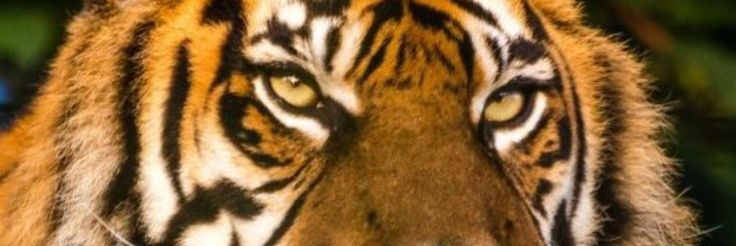 formol16's profile banner image