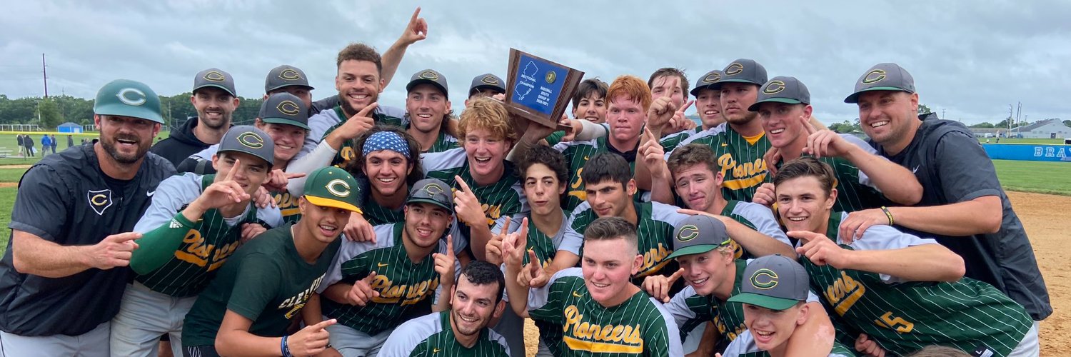 View_Baseball banner