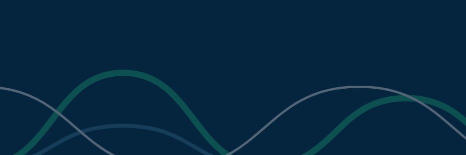datawiza_com's profile banner image