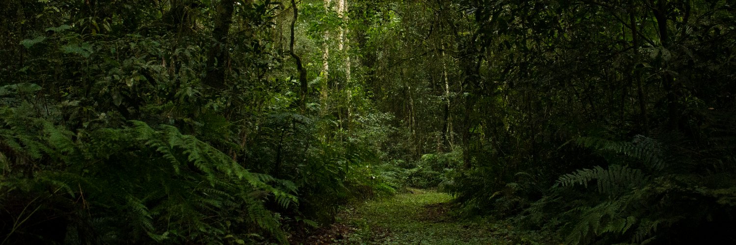 lngd's profile banner image