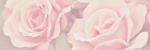 sewlp's profile banner image