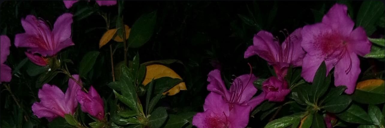 karinadeemm's profile banner image