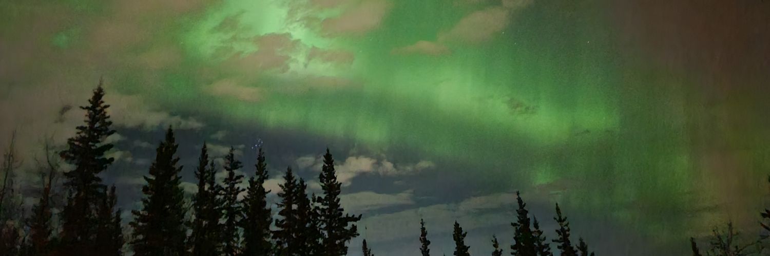 MerntheBurn's profile banner image
