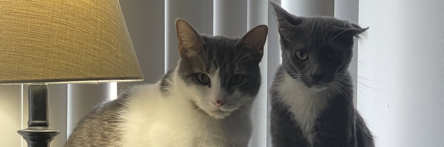 claralevy925's profile banner image