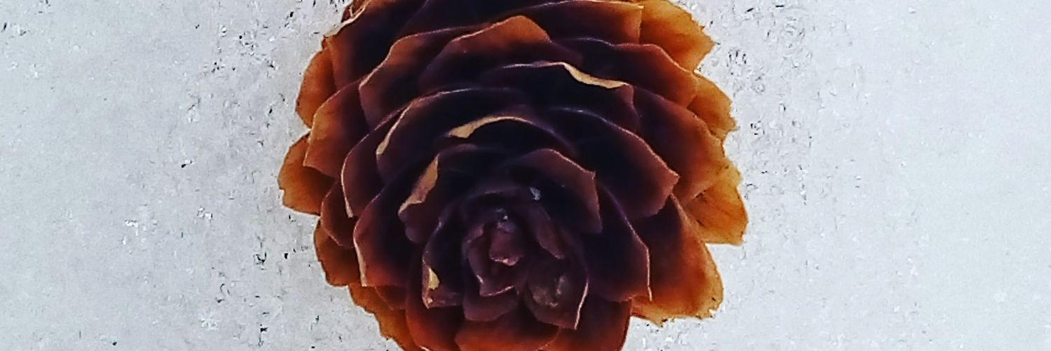 vanesavidal's profile banner image