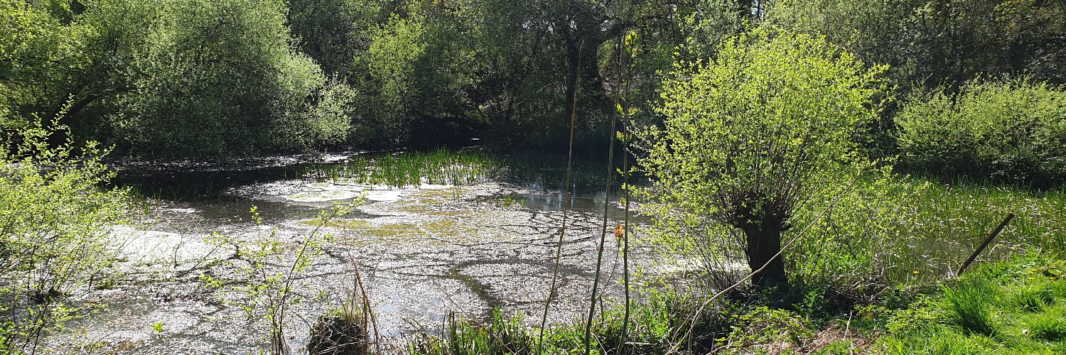 Jonathan D Townend banner