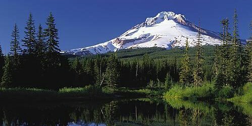 pdxtimber's profile banner image