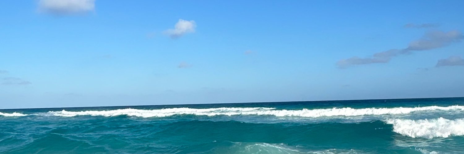 fernandaregue's profile banner image