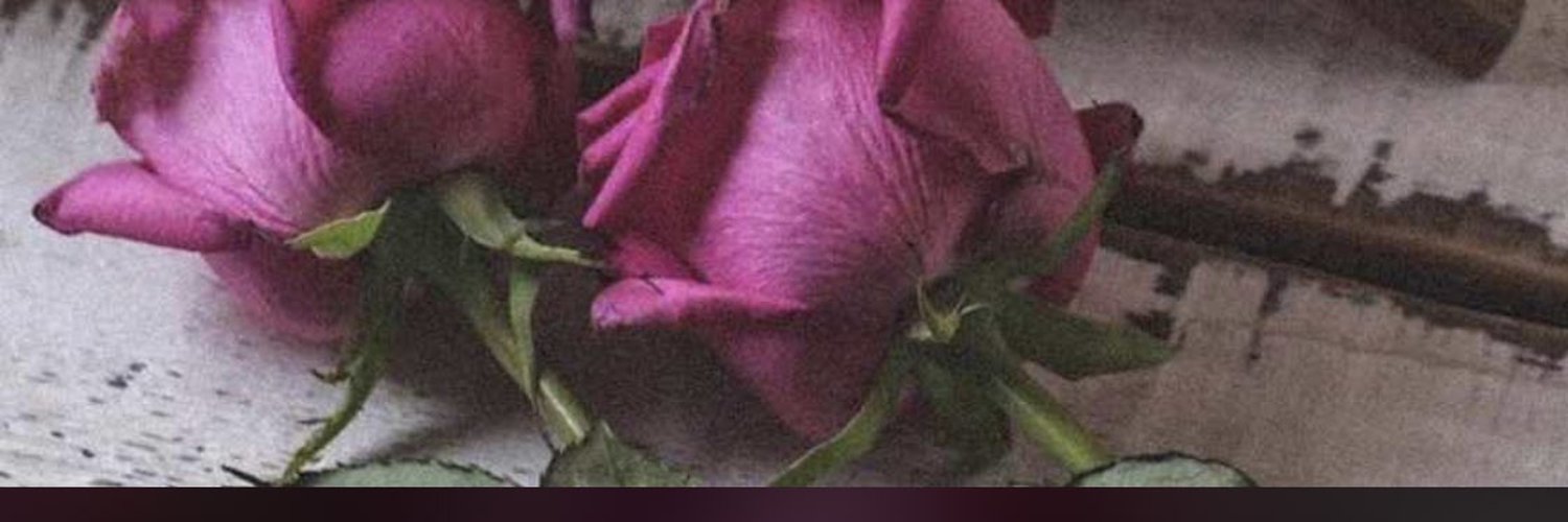 ‏لـميس المـطـــيري 💜 Profile Banner