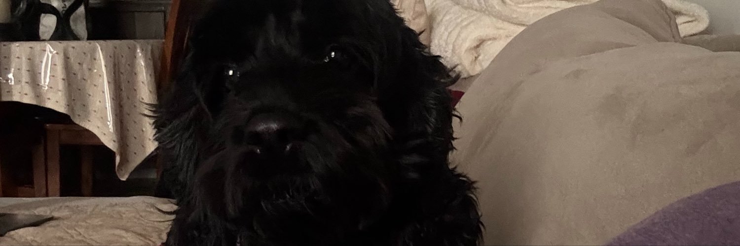 Nelinlee's profile banner image