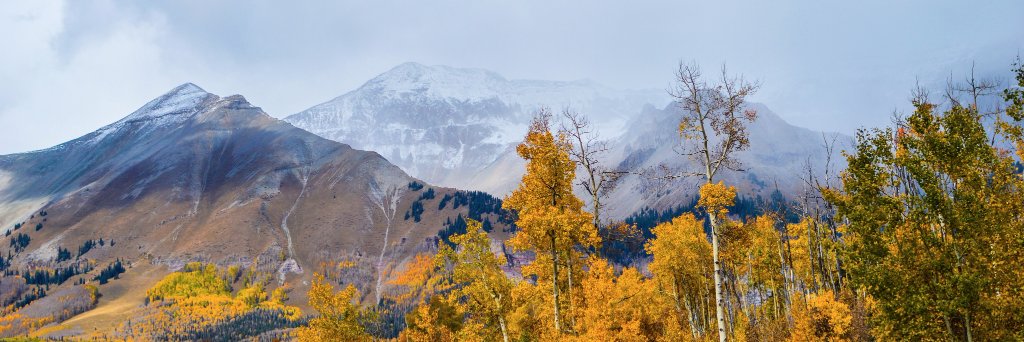 CenterMH's profile banner image