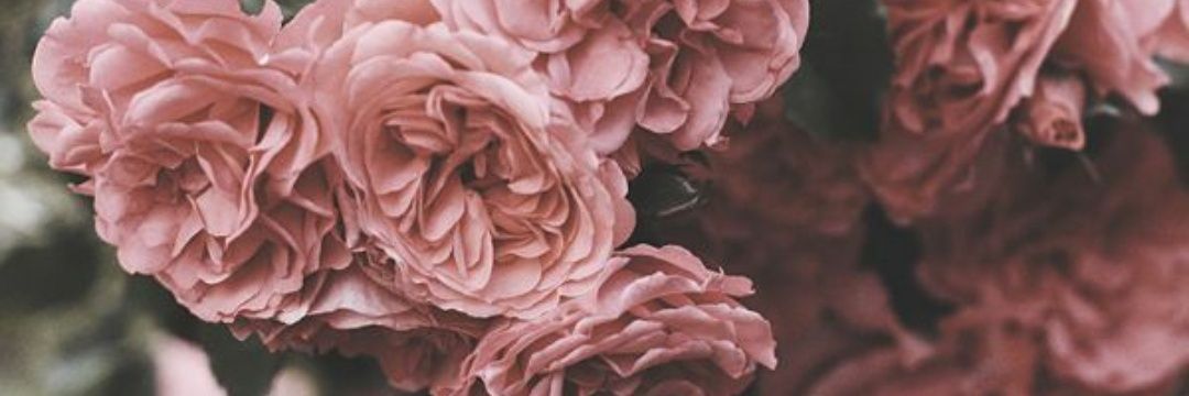 GaBrii_RO's profile banner image