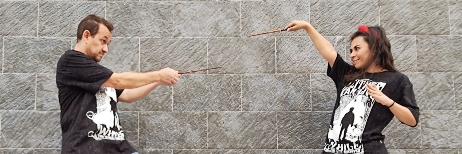 LilyMuFe's profile banner image