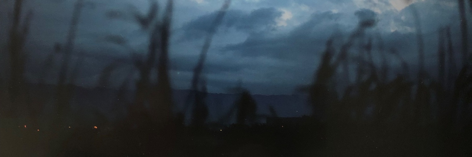 銭湯と映画と食べ歩きが好きです。健康こそ何より大切 banner