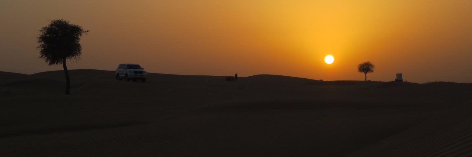 ninadmohile's profile banner image