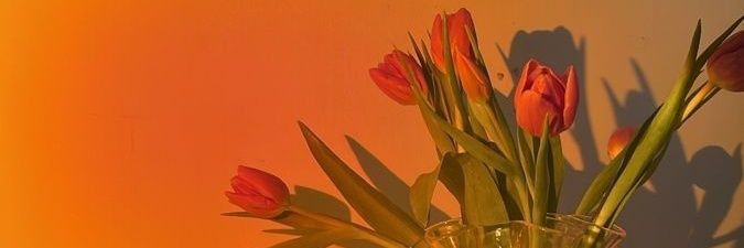 innzzzzz's profile banner image