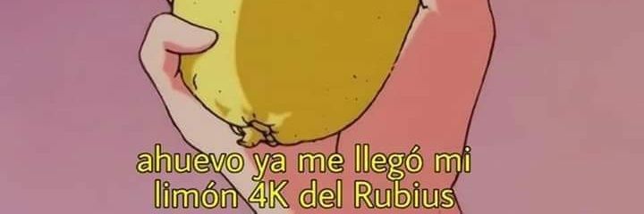 kittendoblas's profile banner image