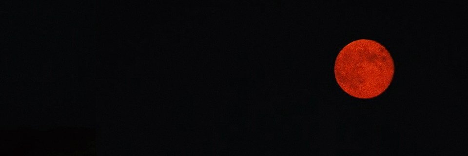 Markkhop's profile banner image